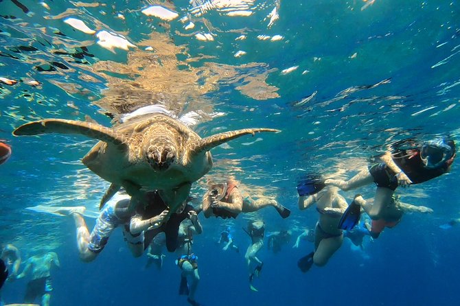 15 Days Egypt Tour Package - Tour Itinerary Overview