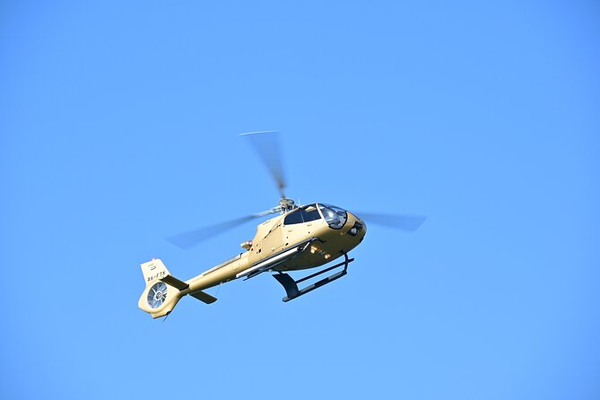 15 Minutes Dubai Palm Helicopter Tour - Tour Duration
