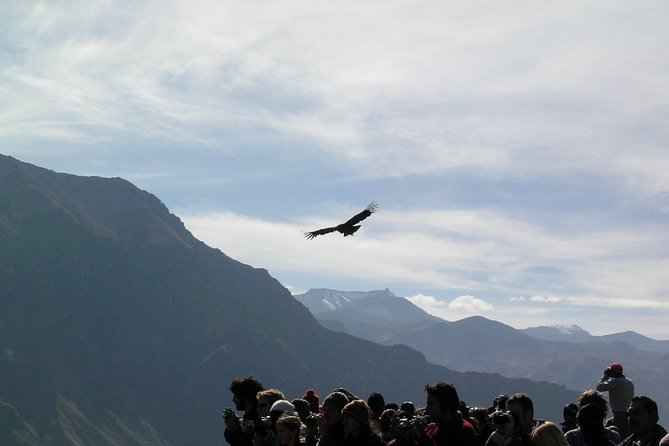 2-Day Colca Canyon Tour With Optional Transfer to Puno - Itinerary Overview