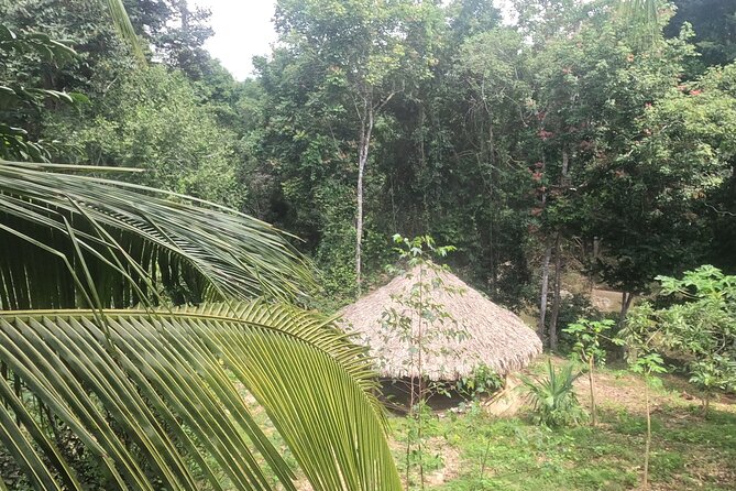 2-Day Cultural Tour to Gotsezhy From Santa Marta - Inclusions and Meals