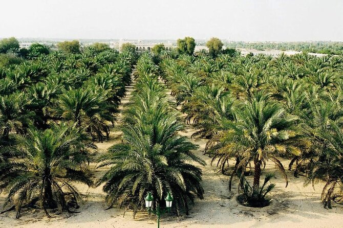 2 Day Luxor to Visit the City of New Valley, Kharga, and Dakhla - Itinerary Highlights