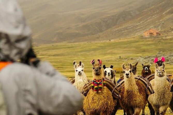2-Day Private Trek Camping in Rainbow Mountain (Llamachimpana) - Pickup Information