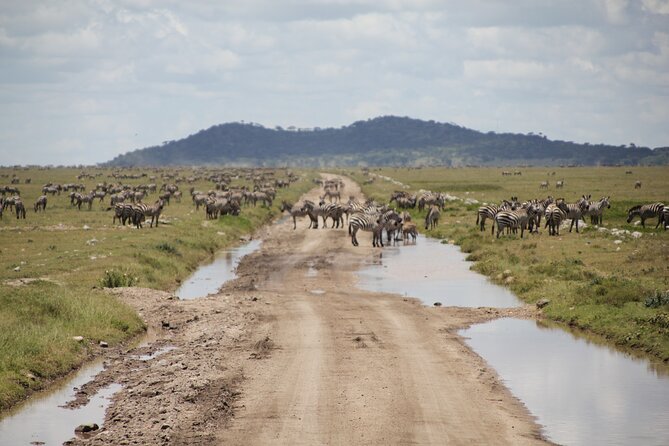 2-Day Safari-Trip to Lake Manyara & Ngorongoro (Mid-range)