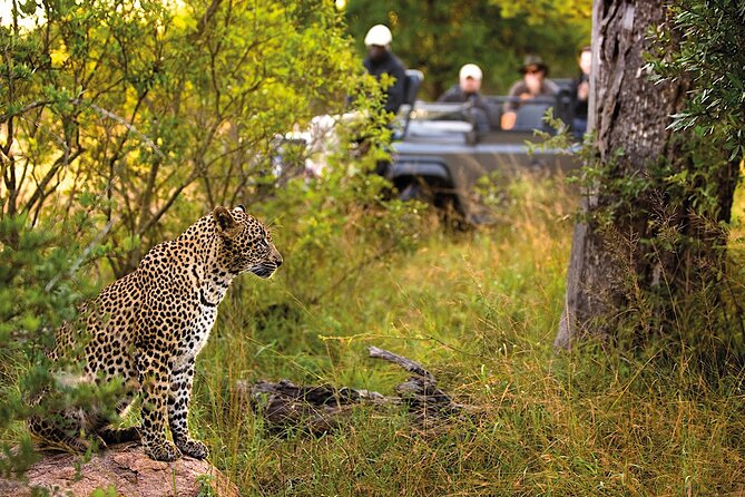 2 Day Small Group Garden Route Big 5 Safari Tour From Cape Town - Tour Overview