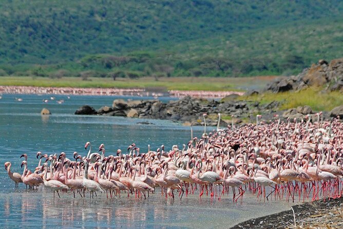 2 Day Tour Lake Nakuru, Hell S Gate & Lake Naivasha From Nairobi - Tour Itinerary