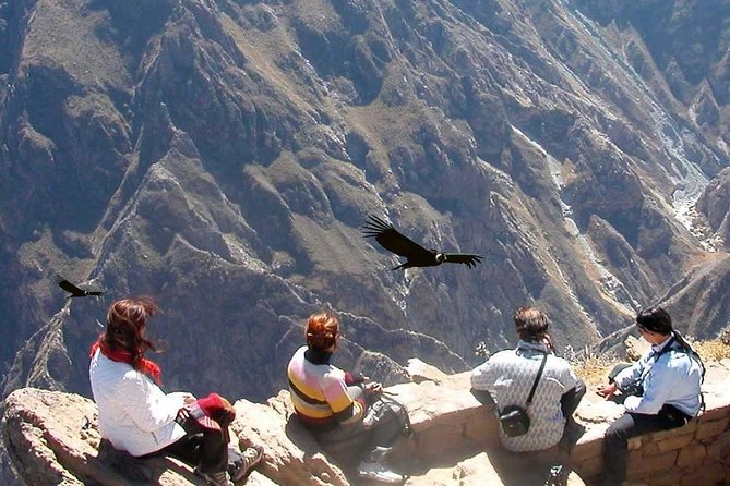 2-day Tour: Puno To Chivay And Canyon Of Colca - Pickup and Departure