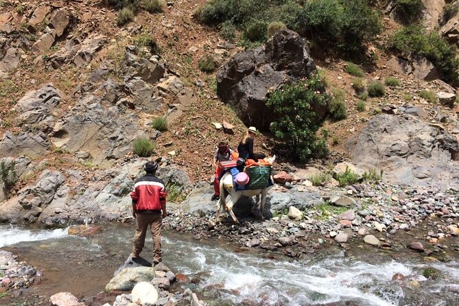 2 Day Trek Atlas Mountains and Overnight Stay In A Berber Village - Tour Overview
