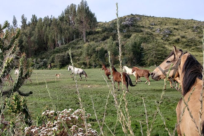 2 Days 1 Night Horseback Tour to Huchuy Qosqo