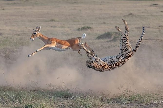 2 Days 1 Night Lake Nakuru National Park Tour - Tour Overview