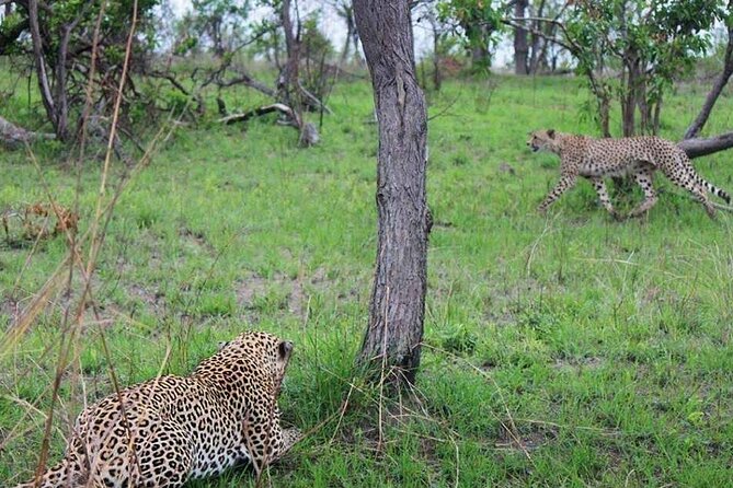 2 Days 1 Night Saltlick Taita Hills - Itinerary Breakdown