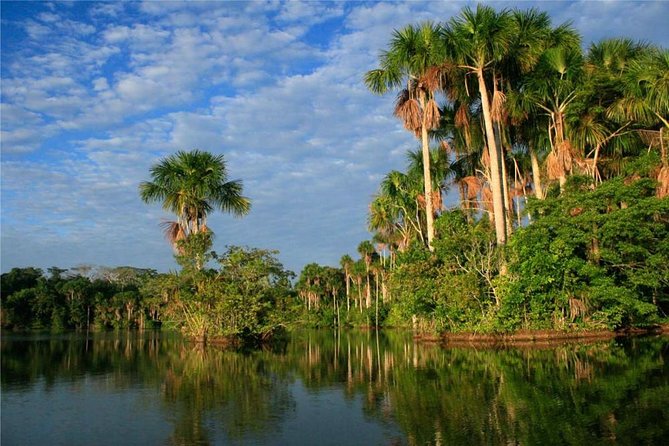 2 Days 1 Night - Tambopata Jungle - Included Logistics for the Tour