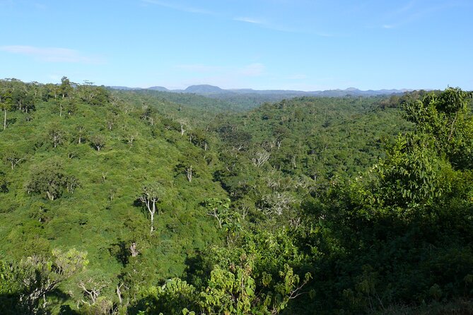 2 Days Aberdare National Park & Solio Ranch Safari