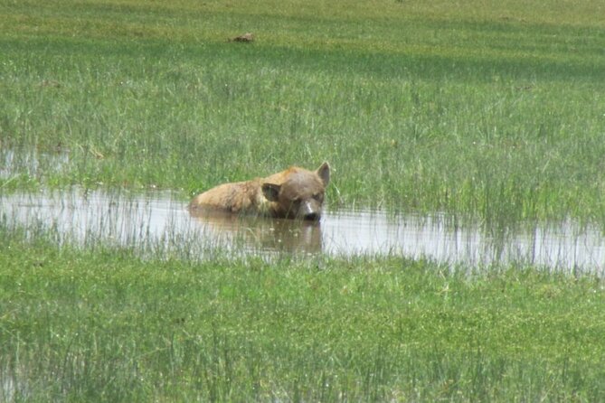 2 Days Amboseli Express Deluxe Tours