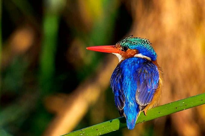 2 Days Budget Mid Range Safari Tour Tanzania - Accommodation Details