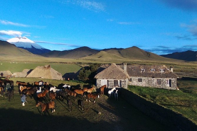 2 Days Cotopaxi National Park - Itinerary for 2 Days