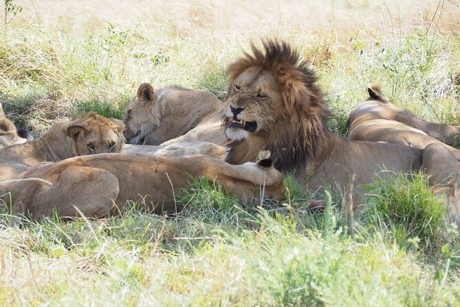 2-Days Guided Tour in Tsavo East - Accommodation Details