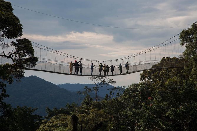 2 Days in Nyungwe National Park via Huye Road - Arrival at Huye Road