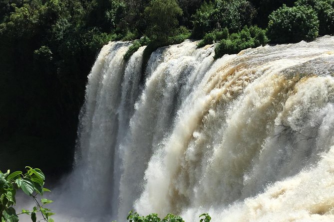 2 Days Nature Tour From Addis Ababa to Awash National Park
