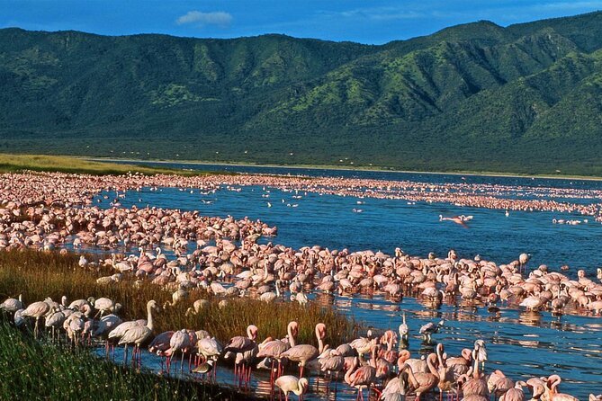 2 Days Prehistoric Tour in Elemantaita, Soysambu and Kariandusi - Itinerary Overview