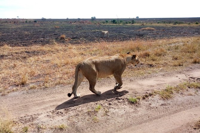 2 Days Private Safari in Samburu National Park From Nairobi - Directions