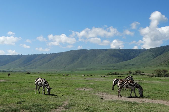 2 Days Safari to Tarangire NP & Ngorongoro Crater From Arusha - Pickup Details
