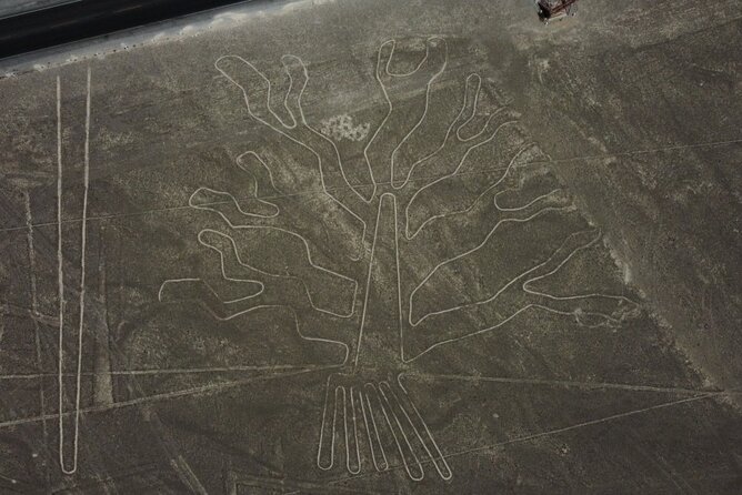 2 Days Tour in Paracas and Nazca Lines - Itinerary Details