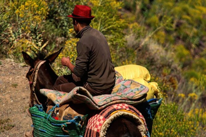 2 Days Trek Imnane Valley & Berber Villages From Marrakech - Included Services