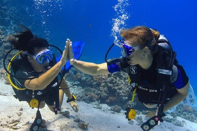 2 Dives From a Comfy Boat for Certified Divers - Included Equipment and Services