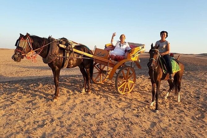 2-Hour Horse Carriage Riding Adventure in Hurghada - Location and Inclusions