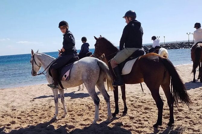 2 Hour Private Horseback Riding & Beach Excursion in Marsa Alam - Additional Information