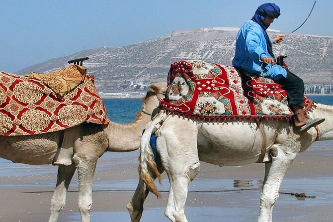 2-Hour Sunset Camel Ride Adventure in Agadir Beach - Inclusions and Start Time