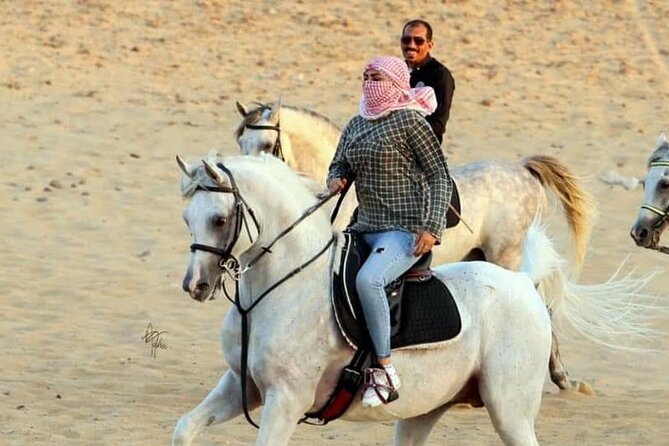 2 Hours Horse Riding in Desert With Transfer - Sharm El Sheikh - Activity Overview