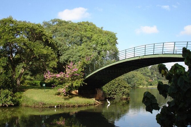 2 Hours Private São Paulo Museum of Modern Art Tour - Tour Duration and Highlights