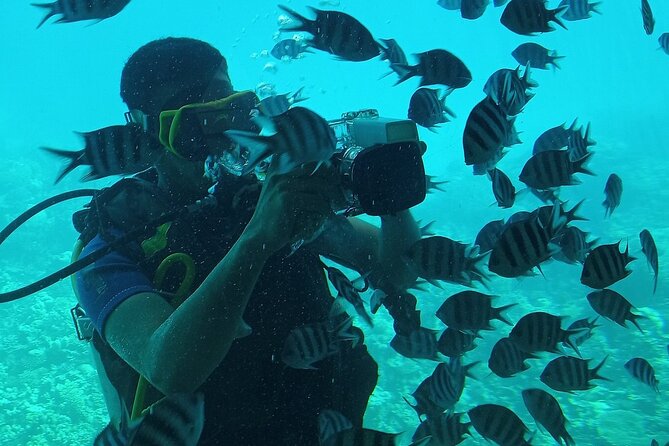 2 Hours Underwater Life in a Semi Submarine From Marsa Alam - Location and Duration