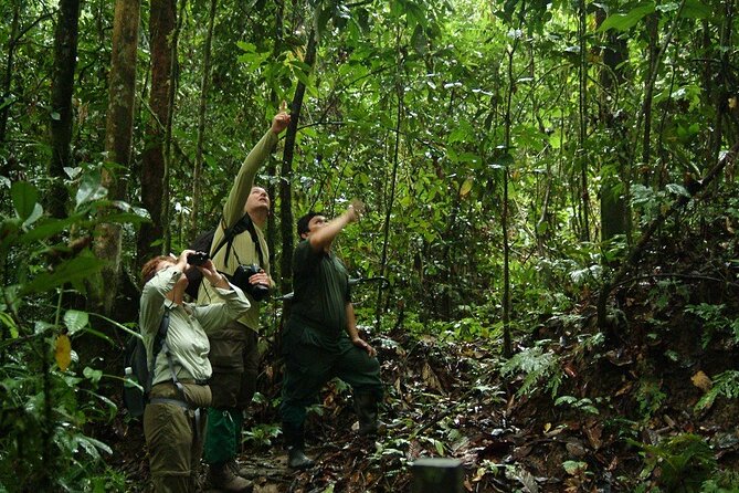 2-Night Danum Valley Borneo Rainforest Lodge Hiking and Wildlife Adventure