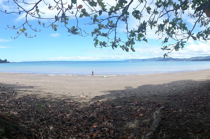 2 Nights in Drake Bay + Corcovado National Park - Corcovado National Park Highlights