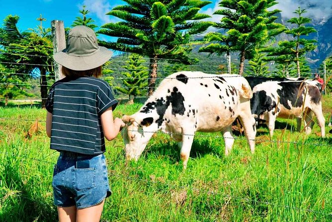 2d1n Kinabalu Park & Poring Canopy Walk & Desa Cow Farm Tour - Exclusions