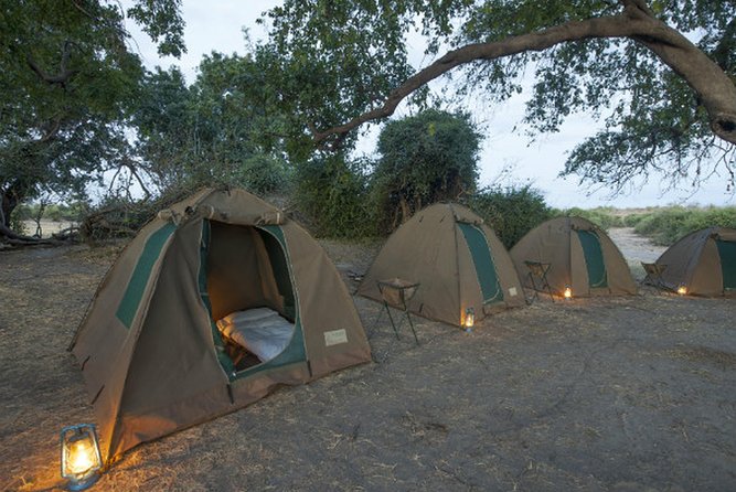 2Days 1Night Camping Safari in Cohbe National Park - Meal and Beverage Offerings