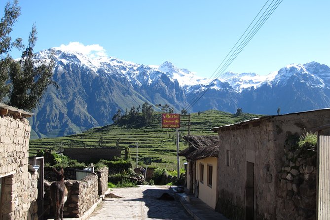 2days: Colca Canyon Trek 2d/1n - Itinerary for 2 Days
