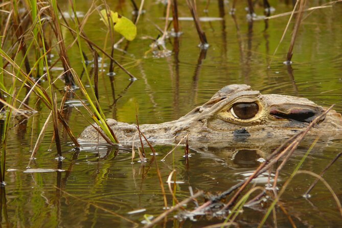 3 Day Amazon Jungle at Refugio Amazonas Lodge - Itinerary and Activities