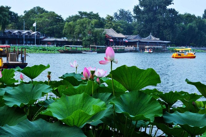 3-Day Beijing VIP Gourmet Private Tour With Acrobatic Show Option - Tour Highlights