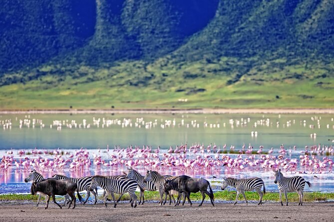3 Day Budget Tour Ngorongoro Crater-Mount Kilimanjaro From Arusha - Meeting and Pickup Details