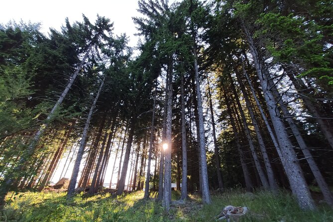 3-Day Bulgaria Private Mountain Biking Tour From Sofia - Tour Details