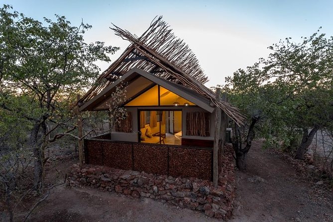 3-Day Etosha Express Accommodated Safari From Windhoek - Accommodation and Meals
