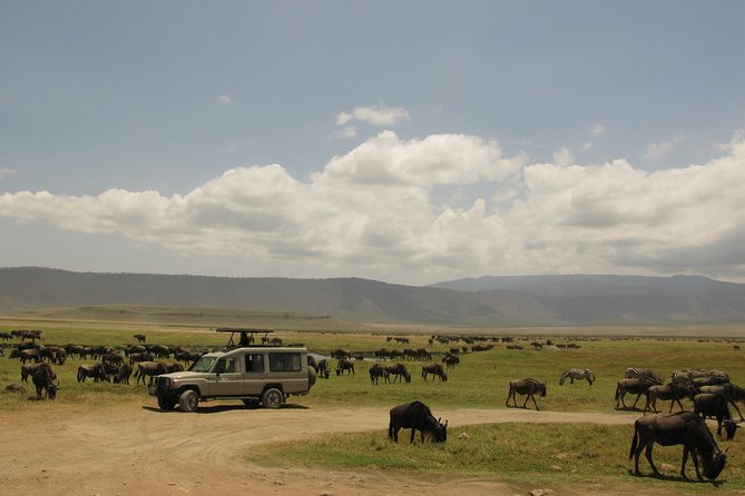 3-Day Masai Mara Safari (Mid-Range Accommodation)