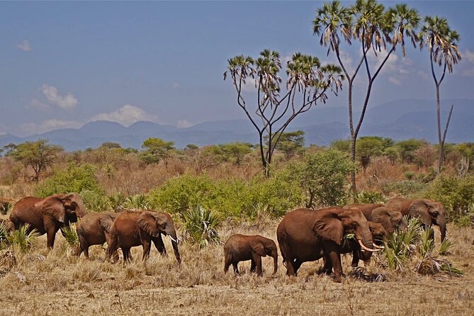 3 Day Meru National Park Safari - Accommodation Details