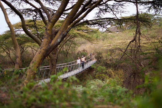 3-Day Nairobi National Park Safari - Pickup Information