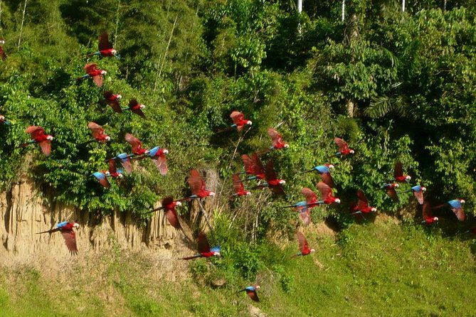 3 Day - Posada Amazonas Classic Program Group Tour - Key Highlights