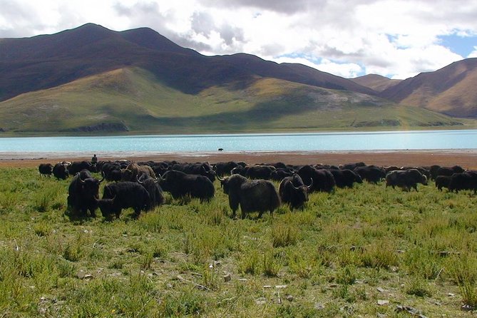 3-Day Private Tour: Lhasa, Gyangtse, and Shigatse