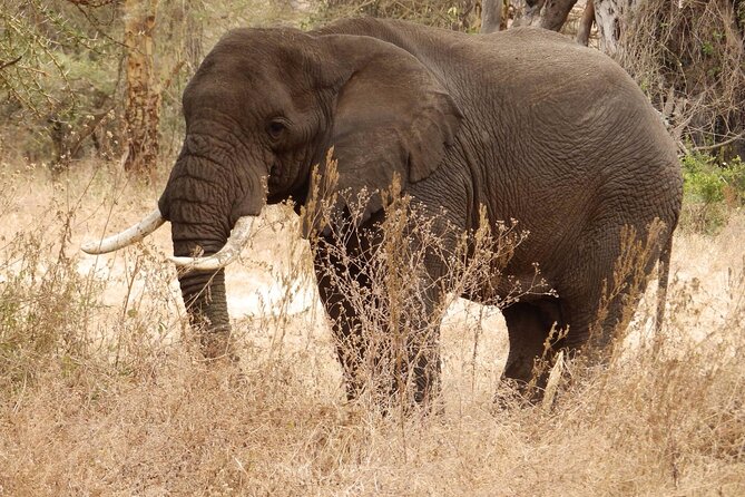 3-Day Safari to Serengeti National Park